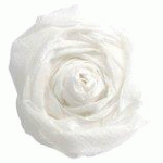 LOT DE 14 - PAPIER CRÉPON, BLANC