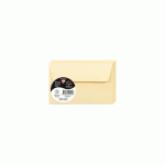 LOT DE 3 - PAQUET DE 20 ENVELOPPES POLLEN 90X140MM 120G/M2 - CHAMOIS
