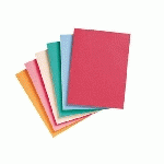 CHEMISE RECYCLÉE 170 G EXACOMPTA 24 X 32 CM COULEURS ASSORTIES - PAQUET DE 100