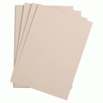 LOT DE 5 - ETIVAL COLOR PAQUET 5F A4 160G - GRIS ROSE