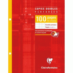 LOT DE 10 - COPIES DOUBLES SOUS ÉTUI 17X22CM 100 PAGES PERFORÉES 2 TROUS GRANDS CARREAUX