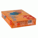 PAPIER COULEUR ORANGE A4 80 G BRUNEAU REPROSUN COULEURS VIVES - RAMETTE DE 500 FEUILLES