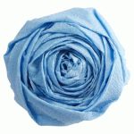 LOT DE 2 - PAPIER CRÉPON, PAQUET DE 10 FEUILLES PLIÉES 40% AU FORMAT 2X0,50M - BLEU CIEL