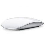 APPLE MAGIC MOUSE - SOURIS (MB829Z/A)