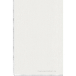 PEINT PEINT UNI GRIS TRÈS CLAIR PAPIER PEINT CLAIR TAPISSERIE IDÉALE POUR CHAMBRE ADULTE ET SALON PAPIERS PEINTS STYLE SCANDINAVE POUR BUREAU - BLANC,