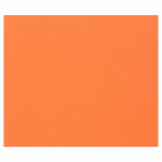 TULIPE RAME 25F 50X65CM 160G - ORANGE