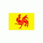 DRAPEAU DE LA WALLONIE : DIMENSIONS - 40 X 60 CM