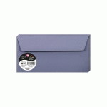 PAQUET DE 20 ENVELOPPES POLLEN 110X220MM 120G/M² - MYOSOTIS - LOT DE 4