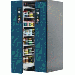 ARMOIRE SÉCURITÉ V-MOVE-90 V90.196.081.VDAC:0013 GRIS/BLEU - ASECOS