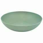 ASSIETTES CREUSES Ø 203 CM EN PLA - VERT - PLASTOREX