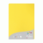 ETUI DE 25 FEUILLES POLLEN 210X297MM 210G/M2 - SOLEIL - LOT DE 2