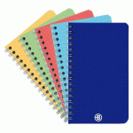 LOT DE 5 - CARNET SPIRALE ACIDULÉ BRUNEAU 9 X 14 CM PETITS CARREAUX 100 PAGES
