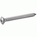 VIS À TÔLE TÊTE FRAISÉE BOMBÉE POZIDRIVE FORME C INOX A2 DIN 7983 4,2X19 BOÎTE DE 200 - ACTON- 624114,2X19