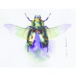 ETIVAL ROULEAU 1,3X10M 300G GRAIN FIN