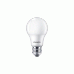 Achat - Vente Ampoules LED