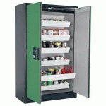 ARMOIRE SÉCURITÉ Q-PEGASUS-90 Q90.195.120.WDAC GRIS/VERT - ASECOS