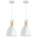 2 PCS FER FORGÉ MODERNE E27 LUSTRE SUSPENSION CUISINE RESTAURANT MACARON LAMPE SUSPENSION (BLANC) - BLANC