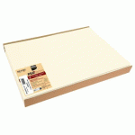 LOT DE 5 - BARQUETTE DE 100 SETS DE TABLE SPUNDBOND, UNIS - FORMAT 30X40CM - IVOIRE