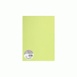 LOT DE 10 - PAQUET DE 5 FEUILLES POLLEN 210X297MM 120G/M2 - VERT BOURGEON