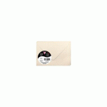 LOT DE 3 - PAQUET DE 20 ENVELOPPES POLLEN 75X100MM 120G/M² - IVOIRE IRISÉ