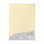 ETUI DE 25 FEUILLES POLLEN 210X297MM 210G/M2 - CHAMOIS - LOT DE 2