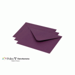 LOT DE 2 - PAQUET DE 20 ENVELOPPES POLLEN 125X138MM 120G/M² - CASSIS