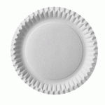 100 ASSIETTES PAPSTAR, CARTON, RONDES, Ø 23 CM, BLANCHES