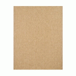 TAPIS EXTÉRIEUR - 60 X 90 CM - NATUREL - 100% POLYPROPYLÈNE - 1400 GR/M2 - POLLY AVRIL PARIS