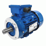 MOTEUR ÉLECTRIQUE 230/400V 0,55 KW 1000 TR/MIN  - MS8026B14 BRIDE B14