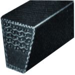 COURROIE C51 22X14X1341