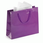 SAC PELLICULÉ BRILLANT VIOLET 30X25X10 CM