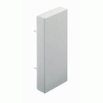 EMBOUT DE FINITION POUR GOULOTTES DE DISTRIBUTION VIADIS - 40 X 25 MM PLANET WATTOHM