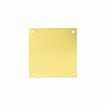 PLAQUE DE PROPRETÉ 300X50MM LAITON POLI PF ÉPAISSEUR 0,8MM - HERACLES - 19-0823-9920