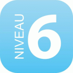PLAQUE SIGNALÉTIQUE EN DRAPEAU PLEXI - NIVEAU 6 (BLEU CLAIR)