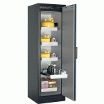 ARMOIRE SÉCURITÉ Q-PEGASUS-90 Q90.195.060.WDACR GRIS/BLEU - ASECOS