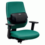 SUPPORT DORSAL PLUSH TOUCH - FELLOWES