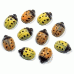 MATFER - PLAQUE 15 COCCINELLES COPOLYESTER - 380241