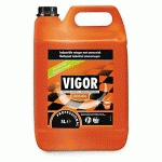 NETTOYANT AMMONIAQUÉ VIGOR 5 L