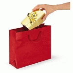 SAC PELLICULÉ BRILLANT ROUGE 40X32X12 CM