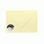 PAQUET DE 20 ENVELOPPES POLLEN 162X229MM 120G/M² - CANARI - LOT DE 3