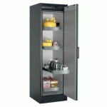 ARMOIRE SÉCURITÉ Q-PEGASUS-90 Q90.195.060.WDACR GRIS/VERT - ASECOS