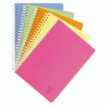 CAHIER SPIRALES CLAIREFONTAINE LINICOLOR 17 X 22 CM GRANDS CARREAUX 100 PAGES - LOT DE 5