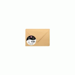 LOT DE 2 - PAQUET DE 20 ENVELOPPES POLLEN 75X100MM 120G/M² - CARAMEL