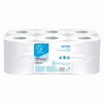 PAPIER TOILETTE MINI JUMBO DOUBLE ÉPAISSEUR PAPERNET - 12 ROULEAUX DE 170 M