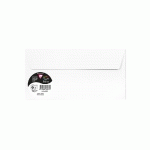 PAQUET DE 5 ENVELOPPES POLLEN 110X220MM 120G/M2 - BLANC - LOT DE 10