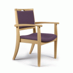 BRIDGE BARIATRIQUE CHR32BE AVEC ACCOUDOIRS - VIOLINE