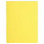 LOT DE 5 - PAQUET DE 100 CHEMISES FLASH 220 100% RECYCLÉ - 24X32CM - CANARI