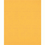 BOSCH 50 FEUILLE ABRASIVE BOIS ET PEINTURE C470 EXPERT 230X280MM - BOSCH