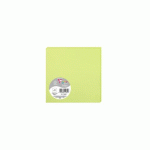 LOT DE 2 - PAQUET DE 25 CARTES SIMPLES POLLEN 135X135MM 210G/M² - VERT BOURGEON