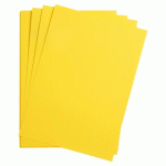 LOT DE 2 - MAYA RAME 25F A4 185G - JAUNE CITRON